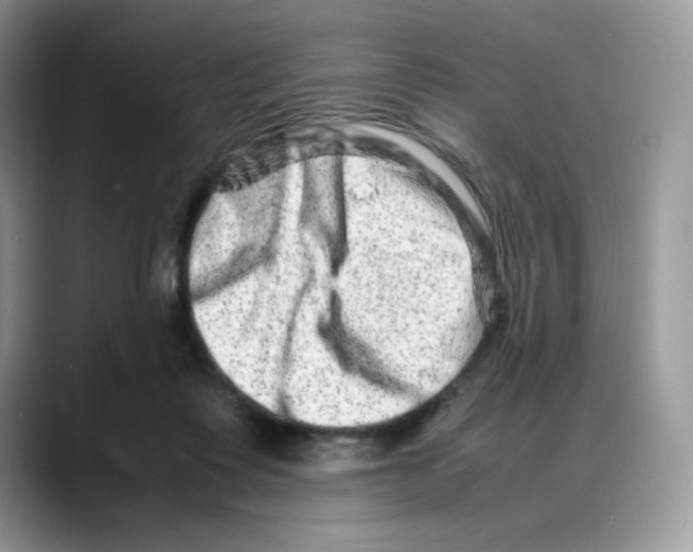 X0000088130315200706111412