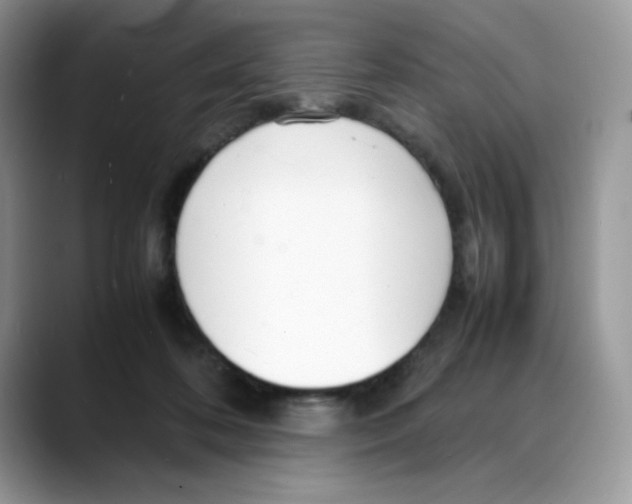 X0000088130316200706111412