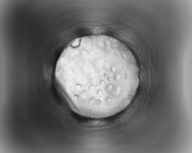 X0000088130319200706111412