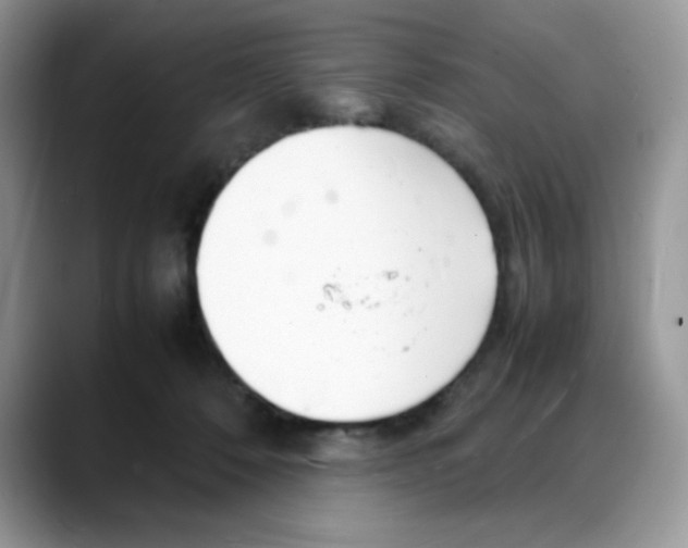 X0000088130320200706111412