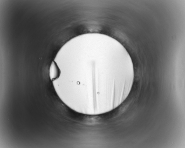 X0000088130321200706111412