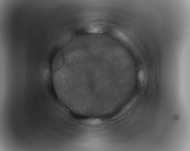 X0000088130322200706111412