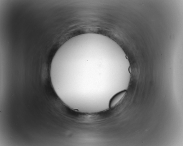 X0000088130323200706111412