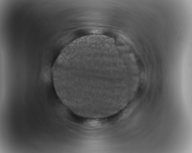 X0000088130325200706111412