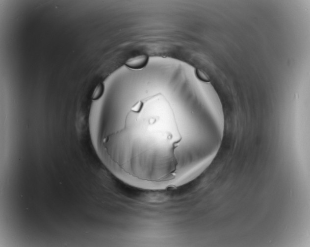 X0000088130327200706111412