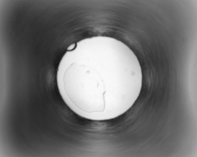 X0000088130328200706111412