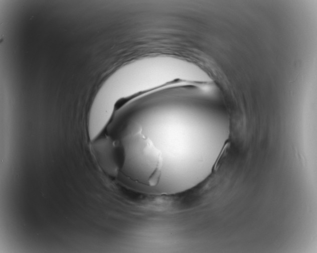 X0000088130329200706111412