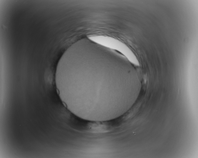 X0000088130331200706111412