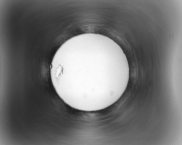 X0000088130332200706111412