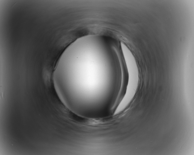 X0000088130333200706111412