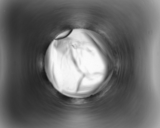 X0000088130334200706111412