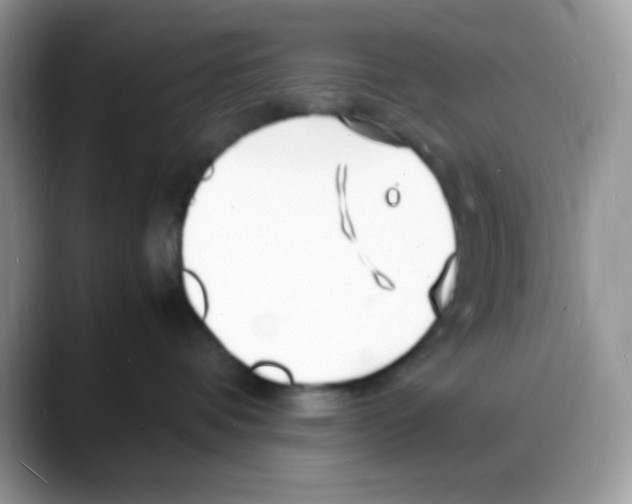 X0000088130336200706111412