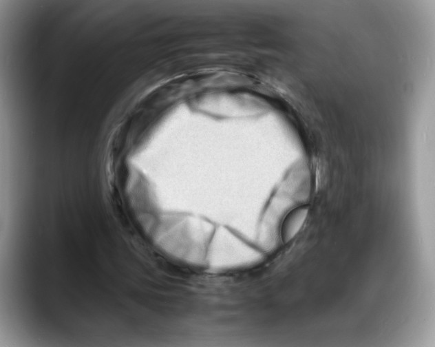 X0000088130339200706111411