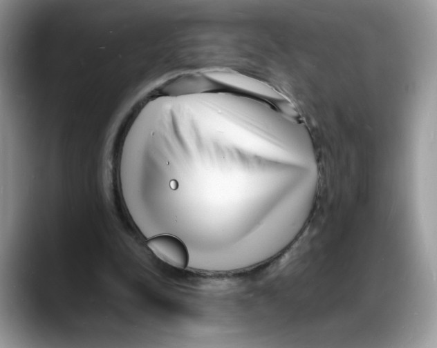 X0000088130342200706111411