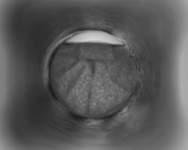 X0000088130343200706111411