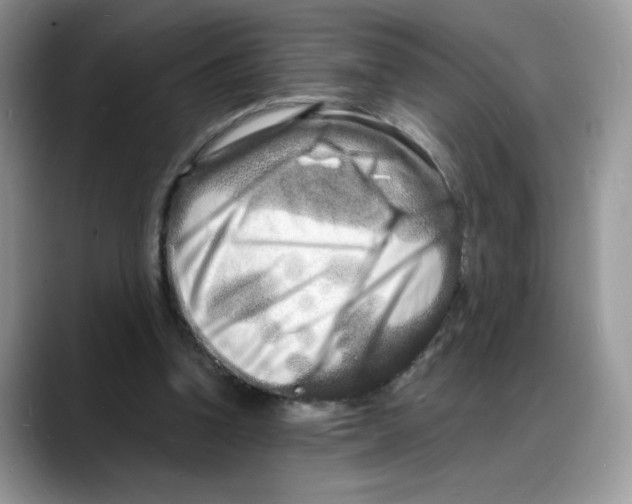 X0000088130346200706111411