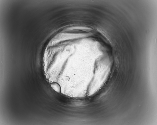 X0000088130347200706111411