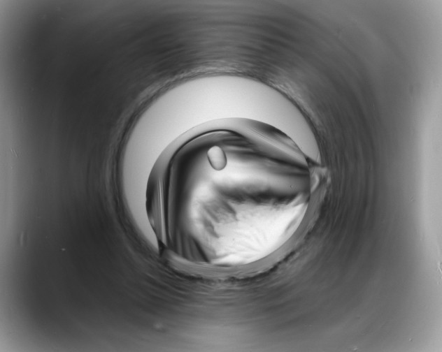 X0000088130348200706111411