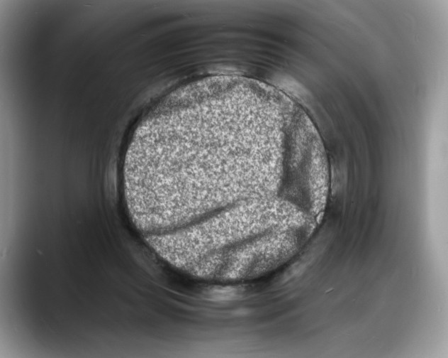 X0000088130349200706111411