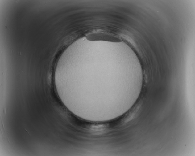 X0000088130357200706111411