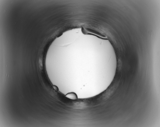 X0000088130358200706111411