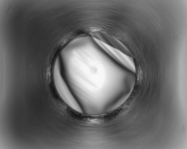 X0000088130360200706111411