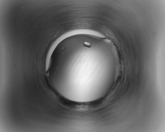 X0000088130362200706111411