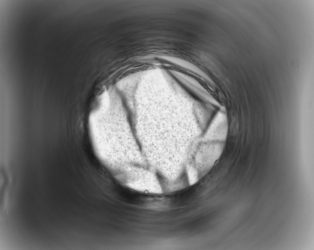 X0000088130363200706111411