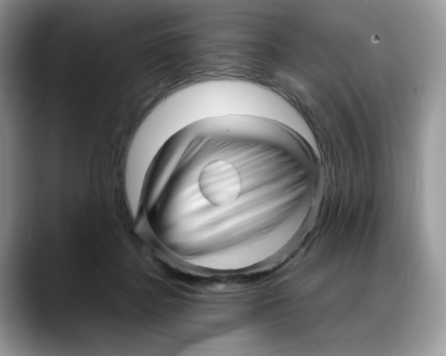 X0000088130364200706111411