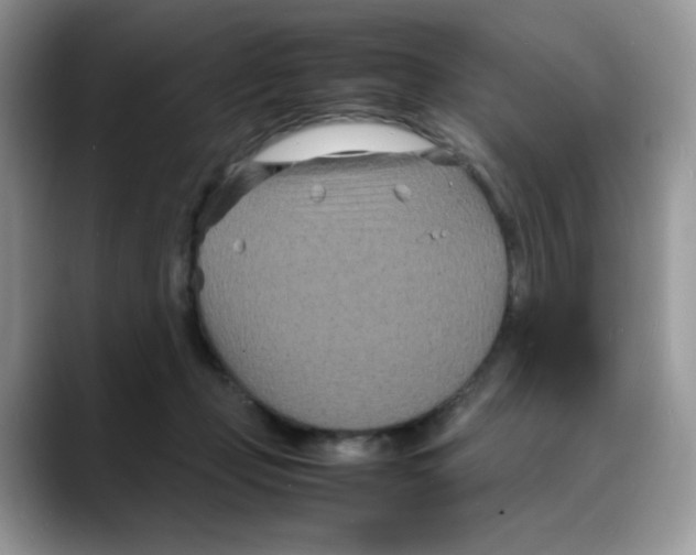 X0000088130365200706111411