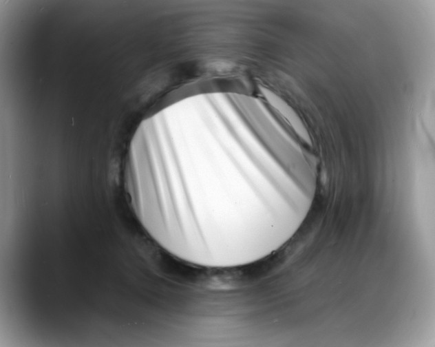 X0000088130368200706111411