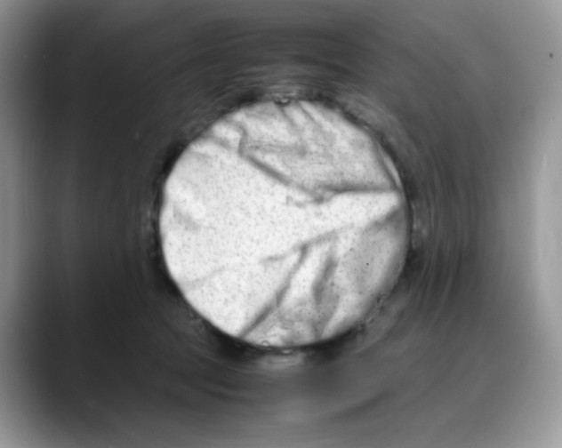 X0000088130369200706111411