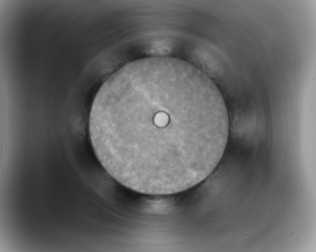 X0000088130370200706111411