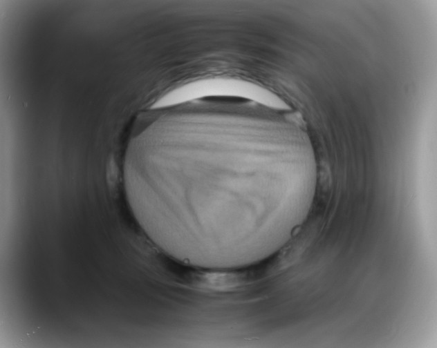 X0000088130371200706111411