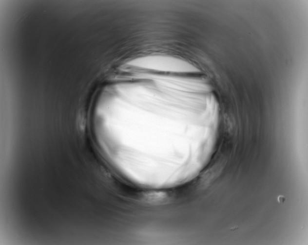 X0000088130374200706111411