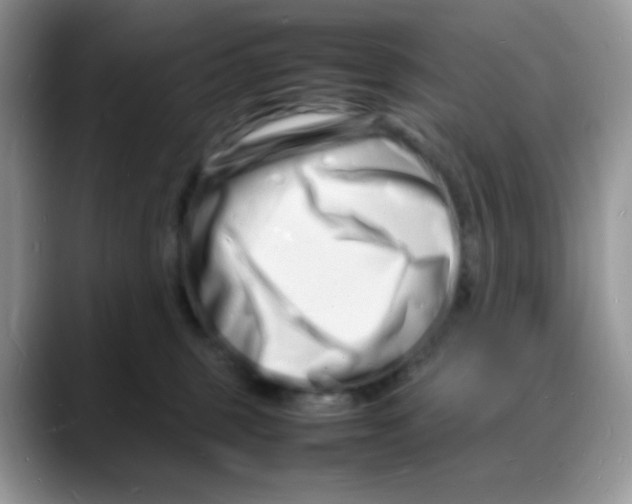 X0000088130375200706111411