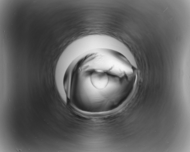 X0000088130376200706111411