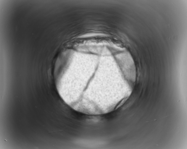 X0000088130377200706111411