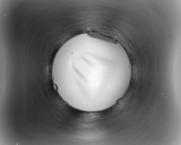 X0000088130378200706111411