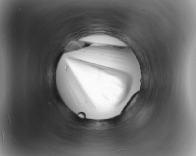 X0000088130379200706111412