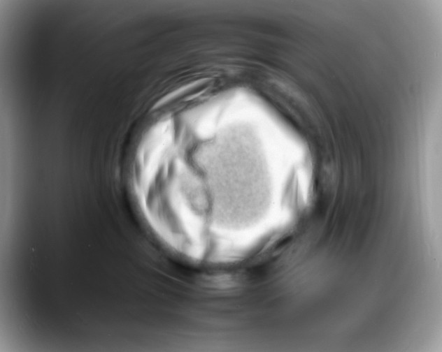 X0000088130381200706111412