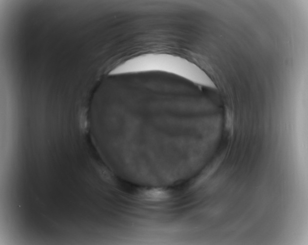 X0000088130383200706111412