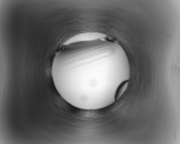 X0000088130384200706111412