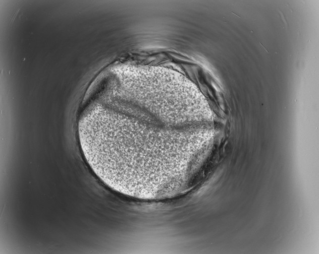 X0000088130385200706111411