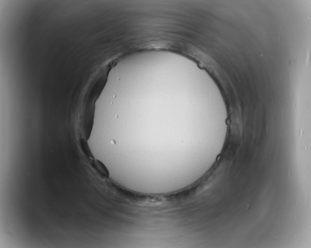 X0000088130386200706111411