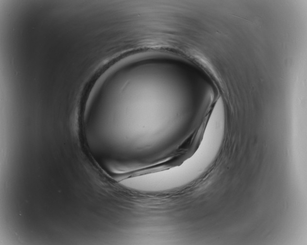 X0000088130387200706111411