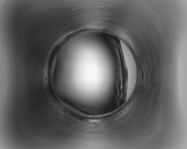 X0000088130388200706111411