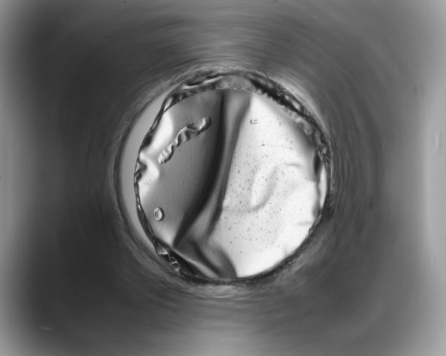 X0000088130389200706111411