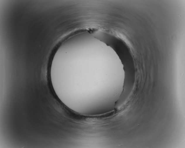 X0000088130391200706111411