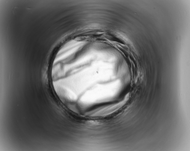 X0000088130392200706111411